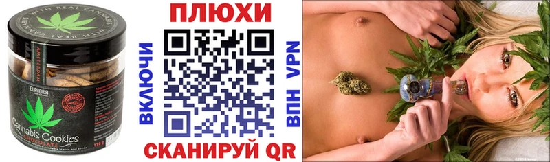 где найти   Сельцо  мега tor  Еда ТГК конопля 