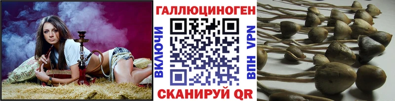 Галлюциногенные грибы ЛСД  закладки  Сельцо 
